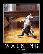 Image result for How a Walks Meme