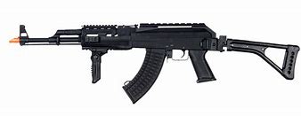 Image result for Cat with Full Metal AK Kit