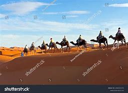 Image result for Large Horse Caravan Middle East