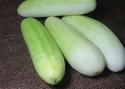 Image result for Cucumber