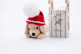 Image result for Plush Aurora Dog with Christmas Hat