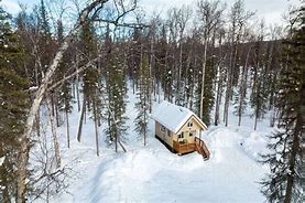 Image result for Rustic Cabin Tiny House