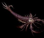 Image result for Eurypterid Ark Survival Evolved