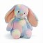 Image result for Rainbow Rabbit