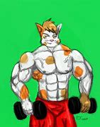 Image result for Buff Cat Guy