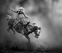 Image result for Rodeo Banners