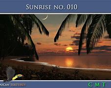 Image result for Sunrise Toucan