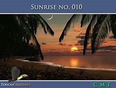 Image result for Sunrise Toucan