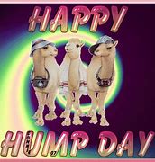 Image result for Happy Hump Day Commercial