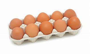 Image result for Extra Large Egg Cartons