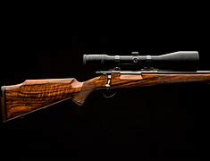 Image result for 243 Bolt Action Rifle