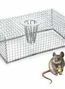 Image result for Water Traps for Mice