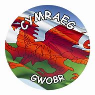 Image result for Welsh Flag Butterfly Car Stickers