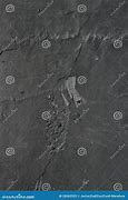 Image result for Schist Disk