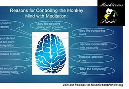 Image result for Monkey Mind for Kids