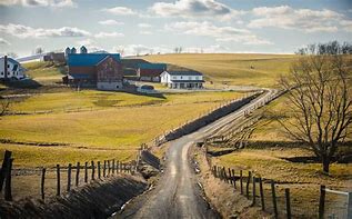 Image result for Amish Farms