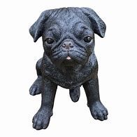 Image result for Black Pug Pan Ting