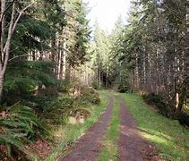 Image result for Logging Road Height Map