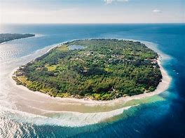 Image result for Gili T