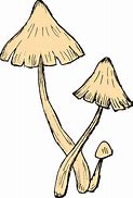 Image result for Trippy Mushroom Vector Png