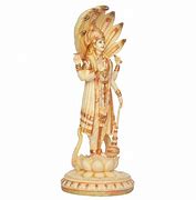 Image result for Salagrama Vishnu Idol