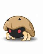 Image result for Kabuto Insect