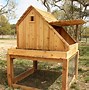 Image result for Chicken Coop