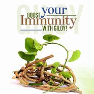 Image result for Immunity Lily GBF