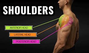 Image result for Shoulder Talons