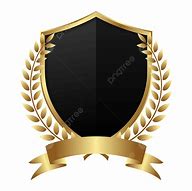 Image result for shield logo vector png