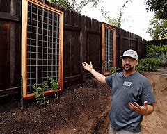 Image result for Hog Wire Trellis