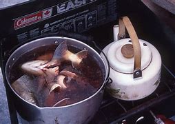 Image result for Inuit Mother Cooking