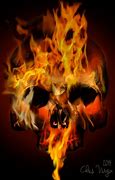 Image result for Halo Flaming Skulls