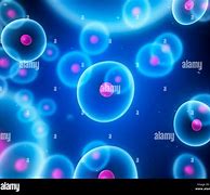 Image result for Cells in Computer Science