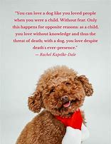 Image result for Dog and Human Quotes