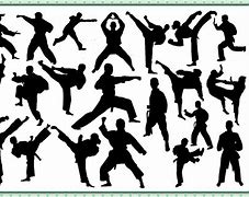 Image result for Taekwondo Silhouette