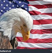 Image result for Eagle with Head Bowed