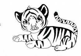 Image result for Baby Tiger Drawing