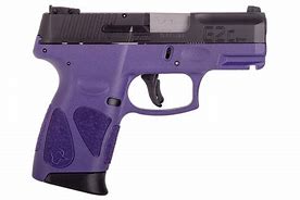 Image result for Taurus G2C Compact 9Mm Pistol