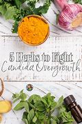 Image result for Foods to Avoid with Candida Overgrowth