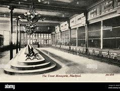 Image result for Blackpool Tower Menagerie