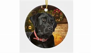 Image result for black lab christmas sweater