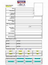 Image result for CV Biografija Obrazac