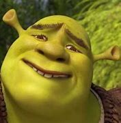 Image result for Meme Shrek Manifestando