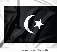 Image result for Flag of Terengganu