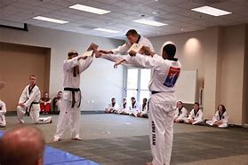 Image result for Tae Kwon Do