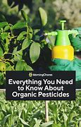 Image result for Organic Pesticides