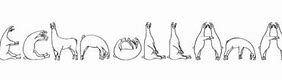 Image result for Llama Font