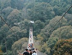 Image result for Penginapan Di Situ Gunung Sukabumi