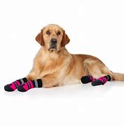 Image result for Large Dog Boots